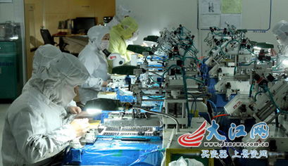 科技創(chuàng)新助跑江西光電升級(jí) 寒風(fēng)中的梅花搖曳生姿